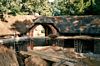 gal/Circular Stables, Wimbledon/_thb_mini-Thatching Pic (17).jpg